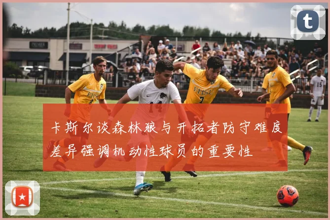 卡斯尔谈森林狼与开拓者防守难度差异强调机动性球员的重要性